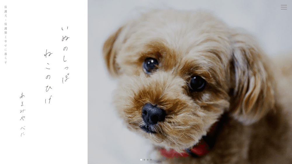 いぬのしっぽ-ねこのひげ-保護犬・保護猫と幸せに暮らす